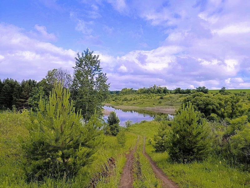 Картинка.