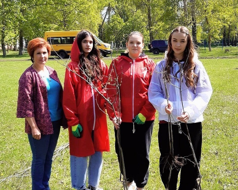Аллея памяти: сады Победы в Озерском сельсовете.