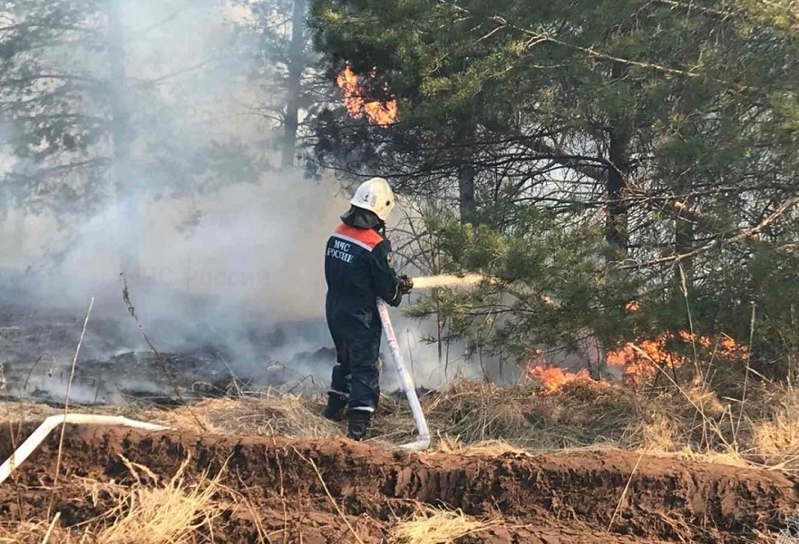 В октябре 2024 года в Курском районе произошёл торфяной пожар в районе деревни Большое Шумаково.